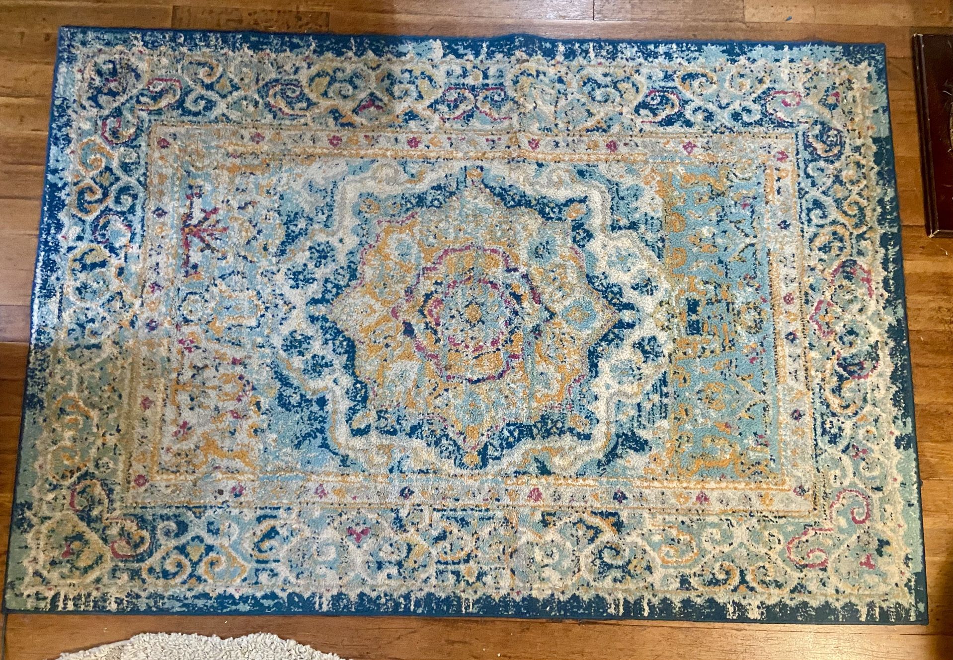 Blue Rug