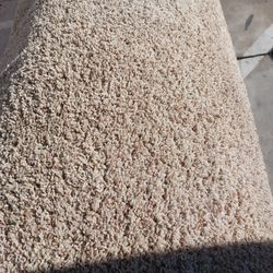 Carpet / Floors