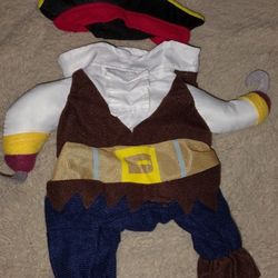 Pet Costume 