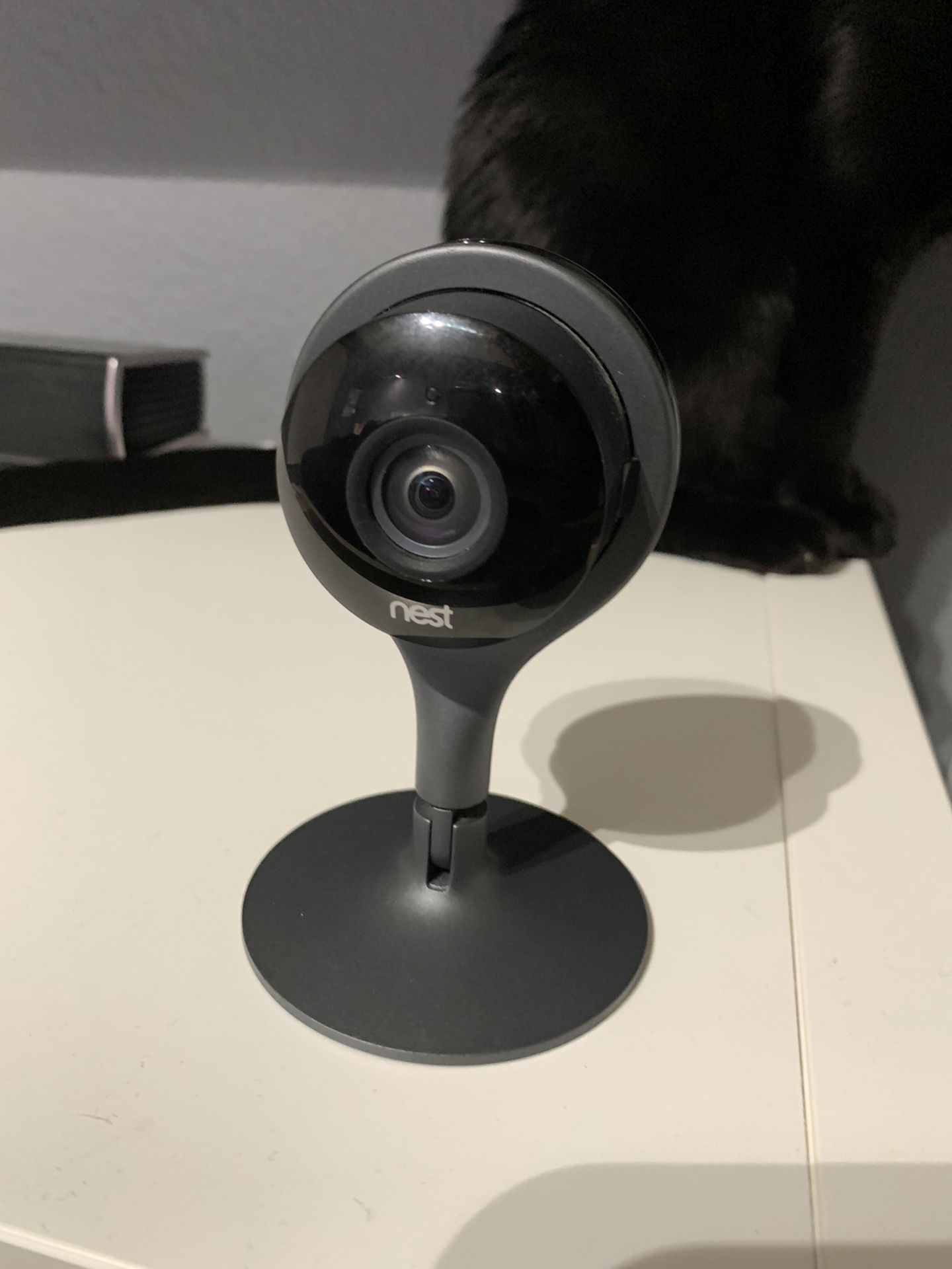 Nest Cam