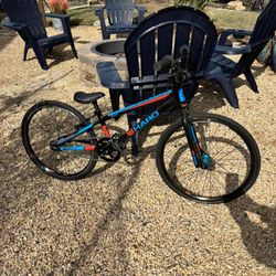 HARO RACE LITE MINI
