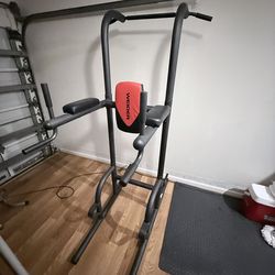 WEIDER Power Tower