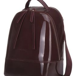 Sapsucker Designer Back Pack