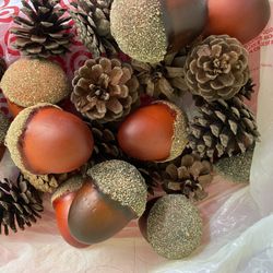 Bag Of Pine Cones And Acorns