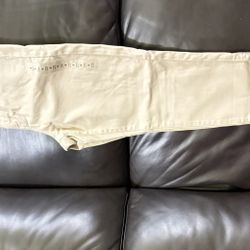 American Eagle Brand New Pants