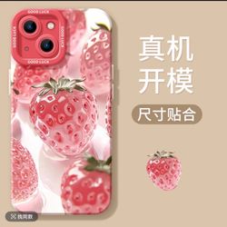 iPhone 15promax Phone Case 