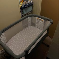 baby delight bassinet
