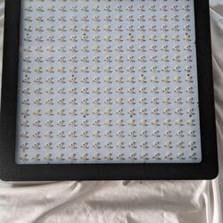 Mars LED Light