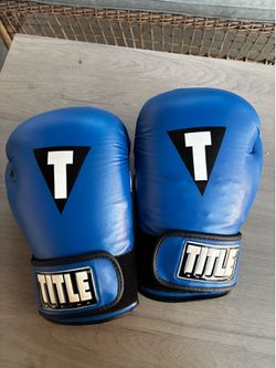 Blue Title Boxing Gloves