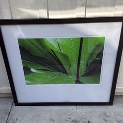 Framed art