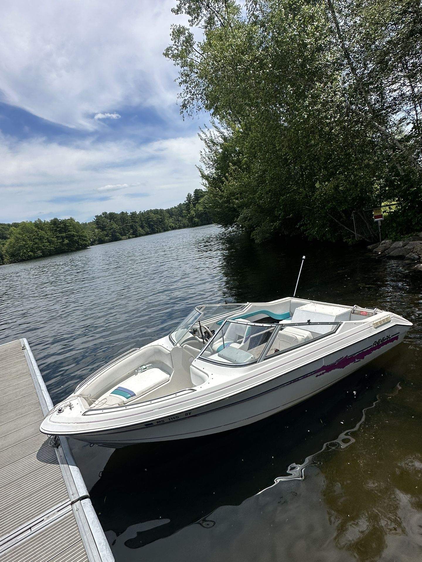 Regal Boat 