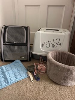 New kitten package