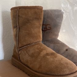 Uggs men