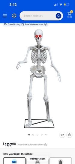 Halloween Skeleton