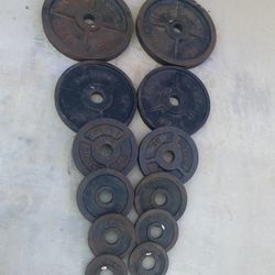 Full Gym Set 