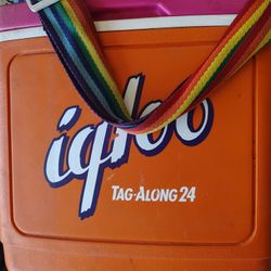 Vintage Igloo 