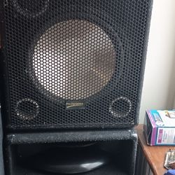 17 Inch Speaker 2