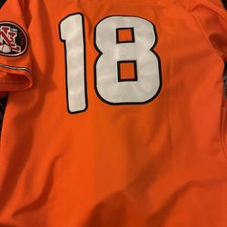 Cincinnati negro League Baseball Jersey 