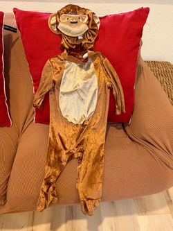 Baby Monkey Halloween Costume