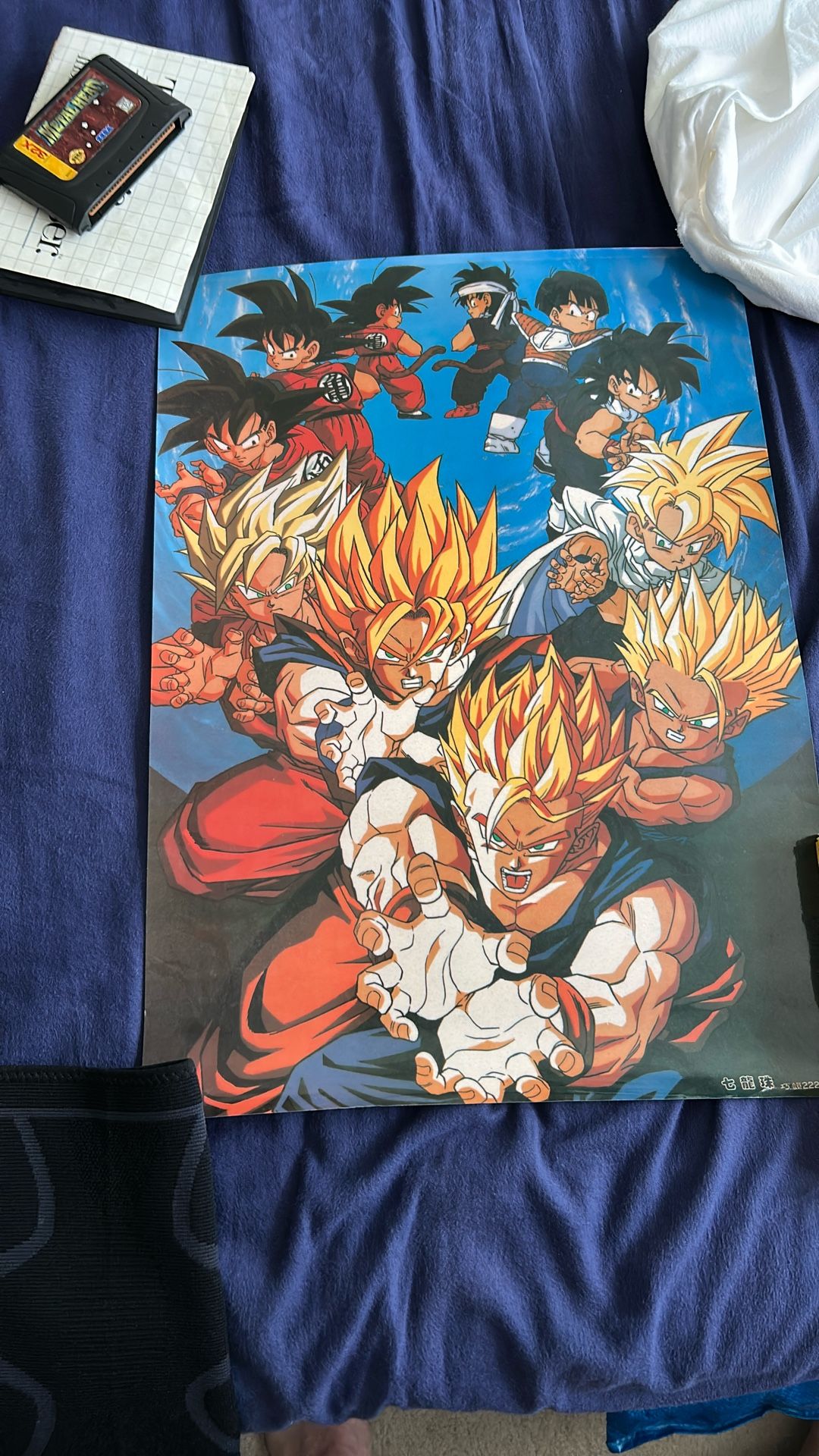 Dragón Ball Z Póster 2229