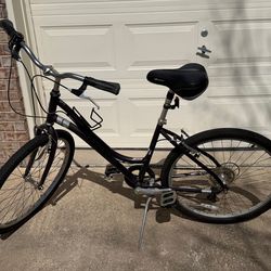 2010 Raleigh Venture (women’s / step-through)