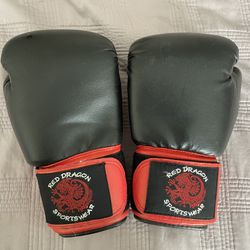 12ox Boxing Gloves