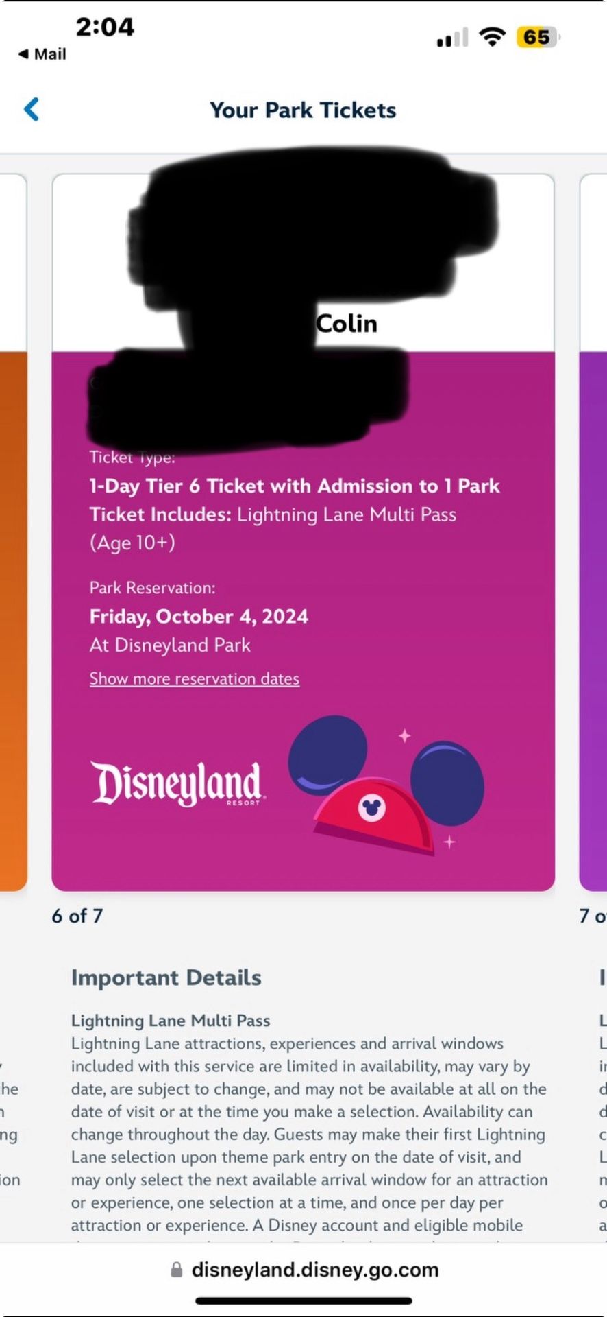 Disneyland Ticket