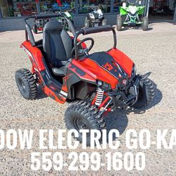 Electric Go Kart U1000 $1,495