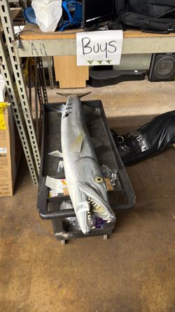 Trophy barracuda mount