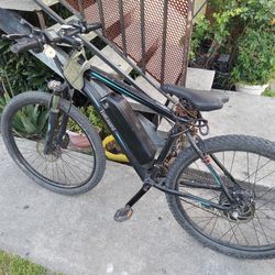 Totguard 48v electric bike
