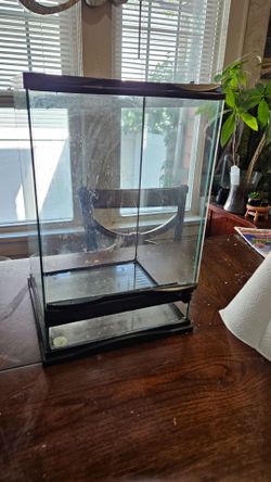 Small reptile/lizard tank