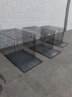 Black Wire Dog Crates with Trays – Set of 3
