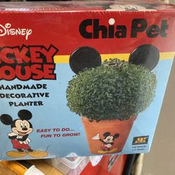 Mickey Mouse Chía Pet