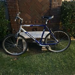 Men’s Mountain Bike Giant 21”