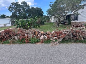 FREE DRY OAK