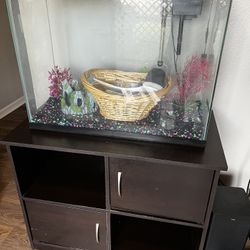 Fish Tank Setup