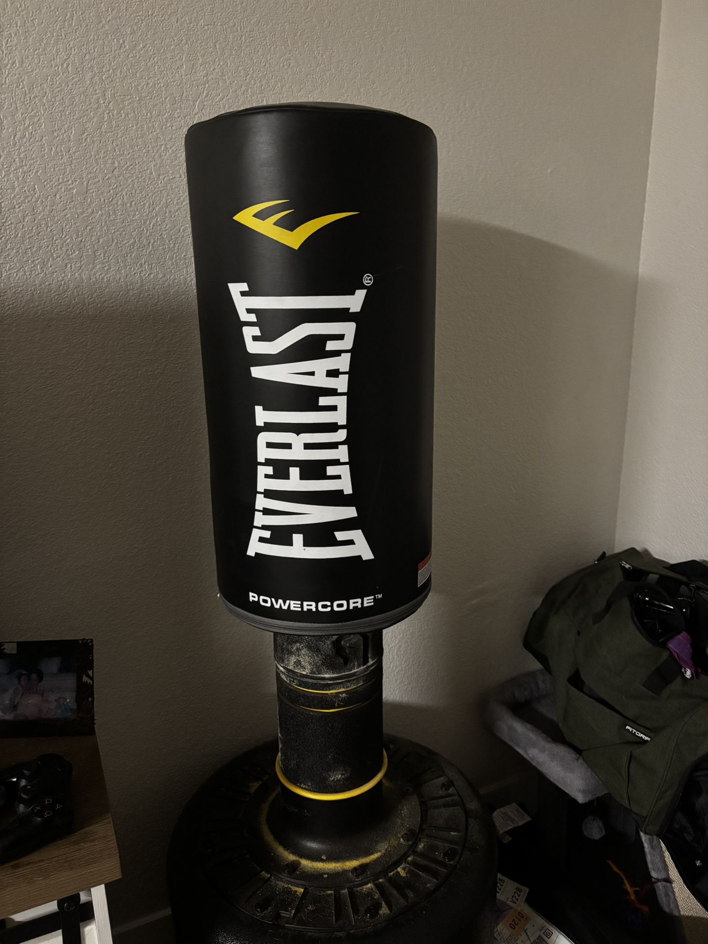 Everlast Punching Bag