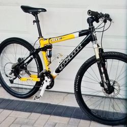 Giant mountain bike