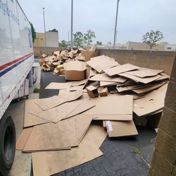 Cardboard 