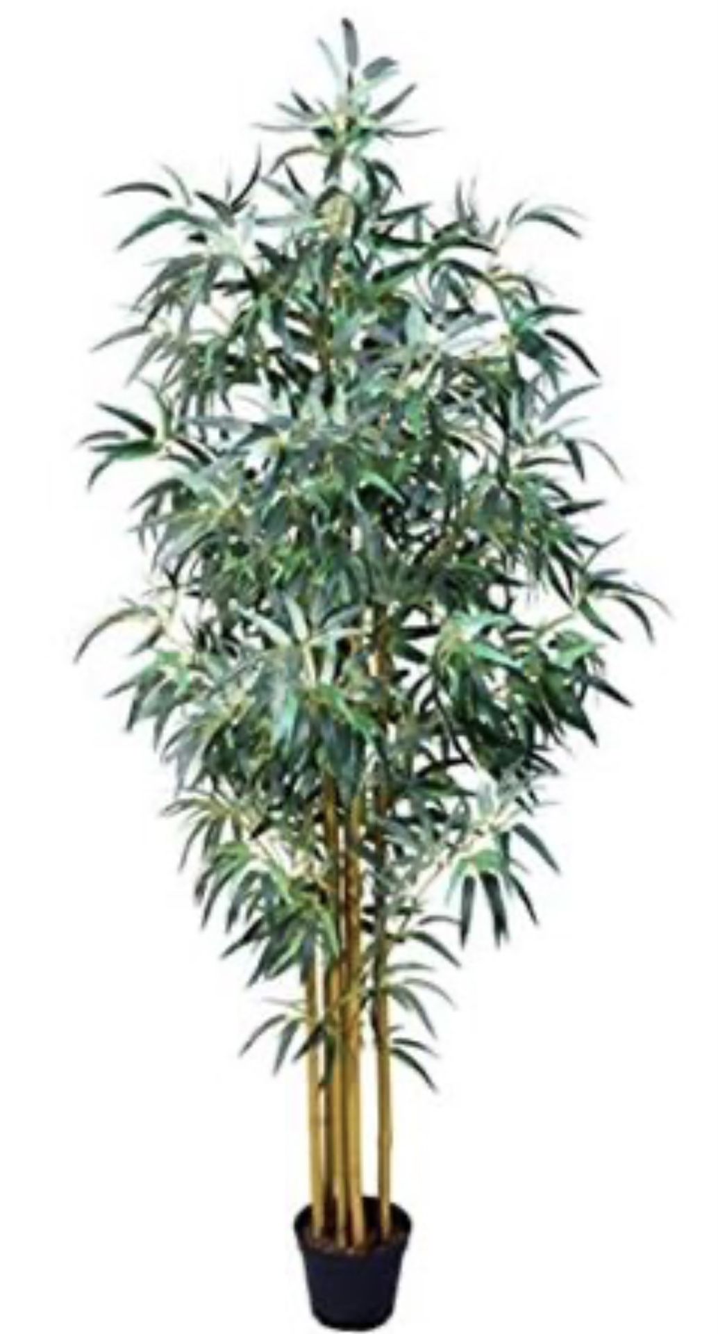 AMERIQUE Gorgeous & Massive 6' Bamboo Trees Artificial Silk