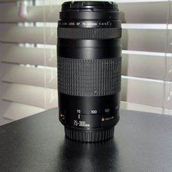 Canon EF 75–300mm f/4–5.6 II Telephoto Lens (Great Condition)