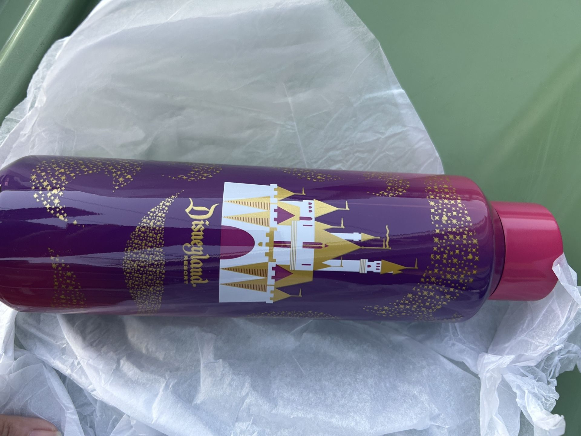 Disney Starbucks Waterbottle