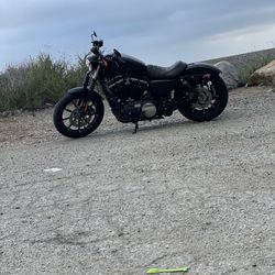 2022 Harley Davidson Iron 883