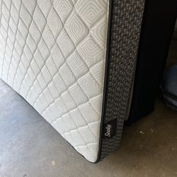 Queen Sealy Mattress And box Spring