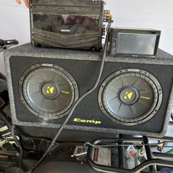 Pioneer Speaker With Kinwodd Amp
