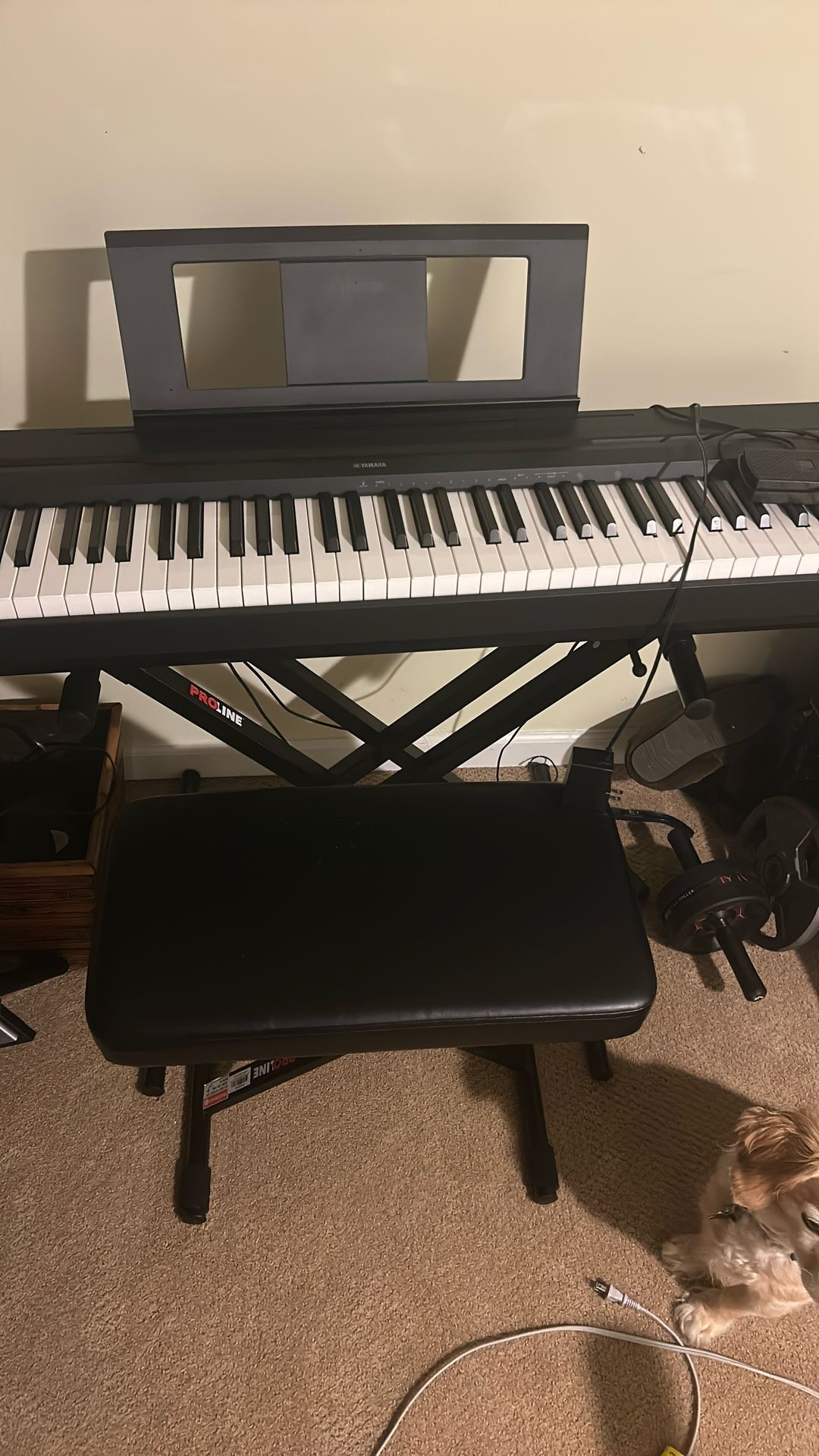 Yamaha P 45