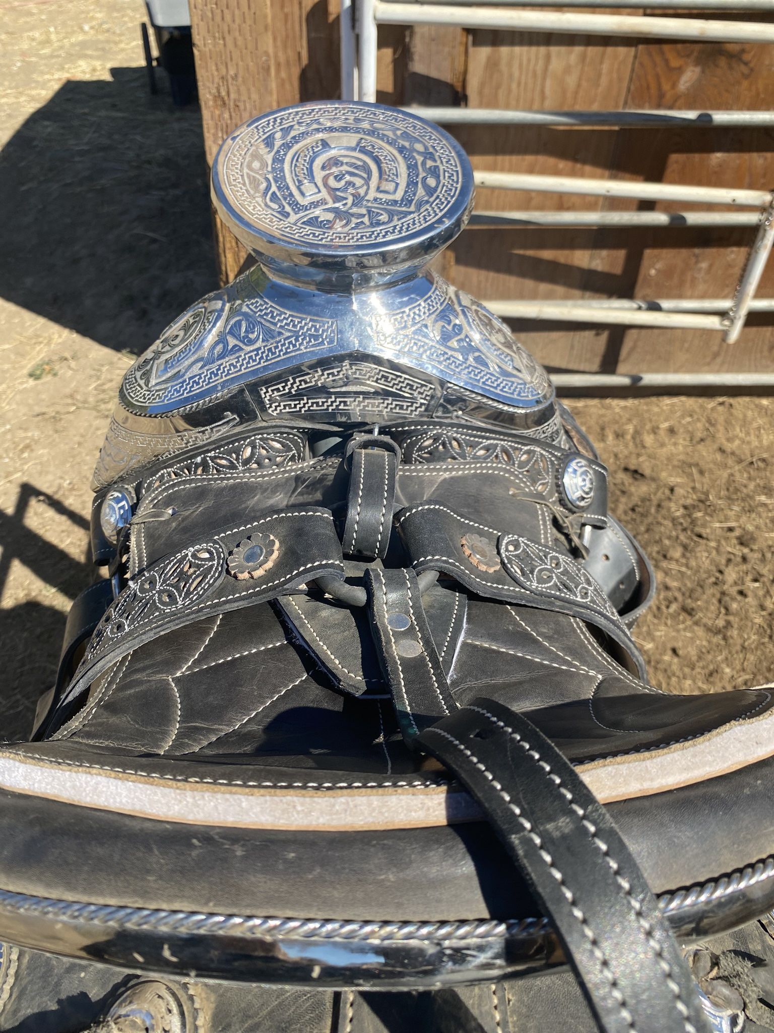 Montura/horse Saddle