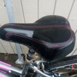 Very Nice Pink And Grey Schwinn Bike 