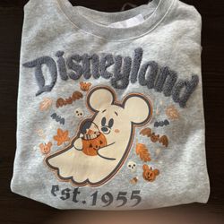 Limited edition 2025 Disneyland Halloween 