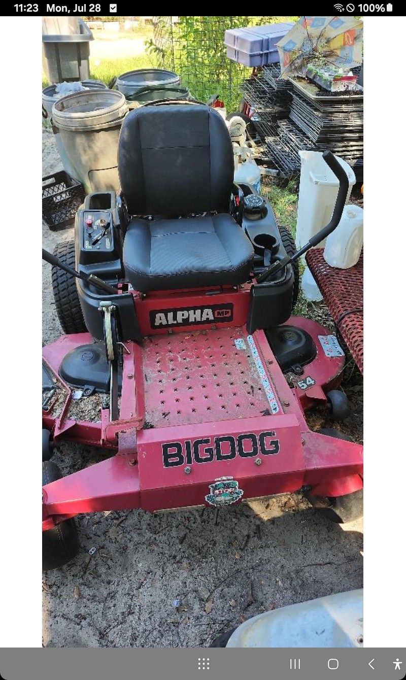 Big Dog 0 -Turn